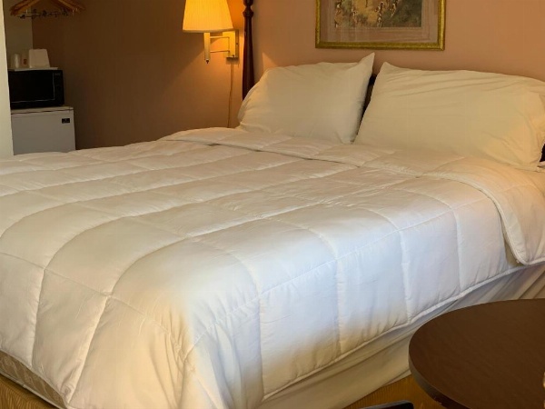 Red Carpet Inn - Gettysburg image 12